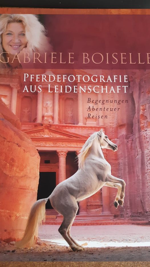 Pferdefotografie aus Leidenschaft