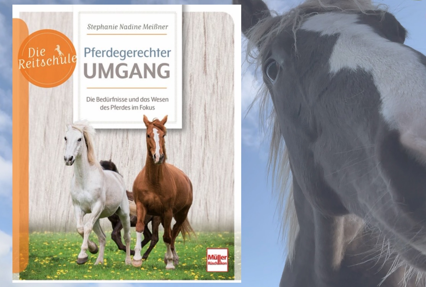 Pferdegerechter Umgang