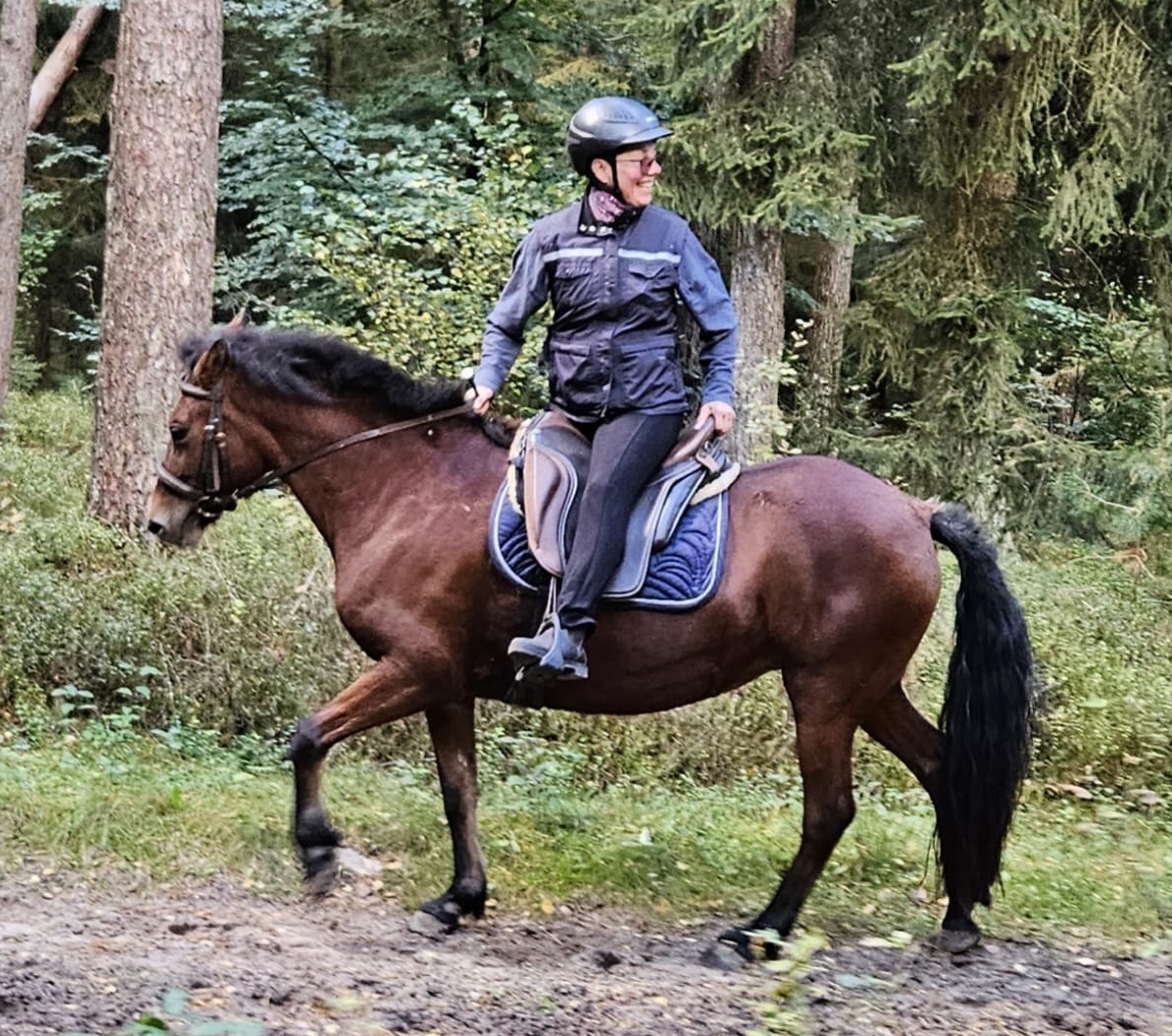 Reiten im Wald